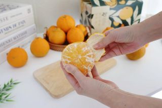 새달귤농장님의 자유주제 · 자유게시판 작성글 사진