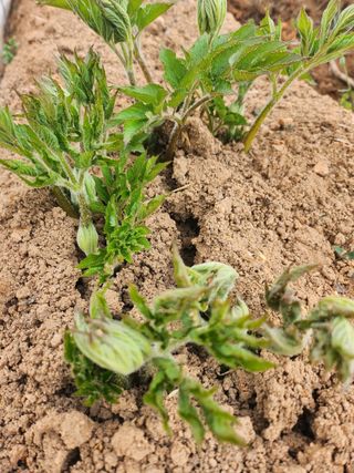 김두영님의 자유주제 · 자유게시판 작성글 사진