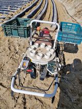 팜모닝 자유주제·자유게시판 게시글 이미지