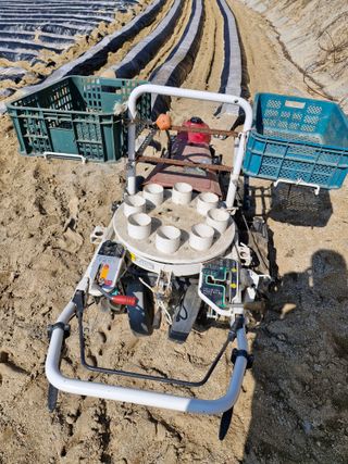 !정의규님의 자유주제 · 자유게시판 작성글 사진