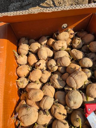 친환경아줌아님의 자유주제 · 자유게시판 작성글 사진