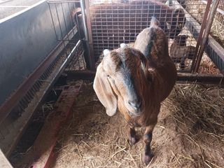 최제영님의 자유주제 · 자유게시판 작성글 사진