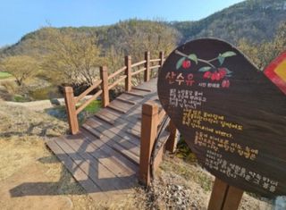 이순화님의 자유주제 · 자유게시판 작성글 사진