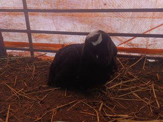 최제영님의 자유주제 · 자유게시판 작성글 사진