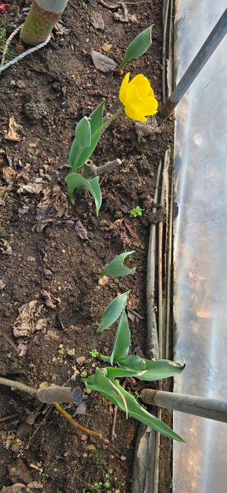 채대영님의 자유주제 · 자유게시판 작성글 사진