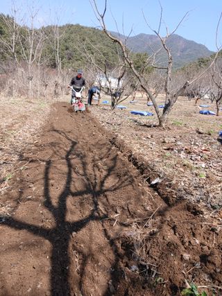 향양농장 사랑합니다님의 자유주제 · 자유게시판 작성글 사진