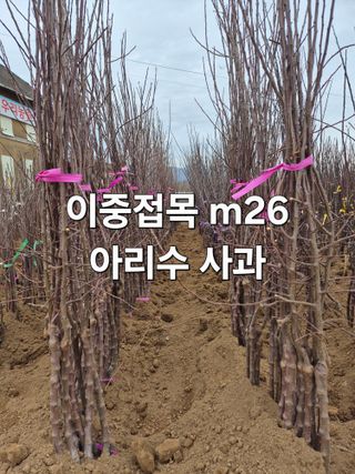 우리농원님의 자유주제 · 자유게시판 작성글 사진
