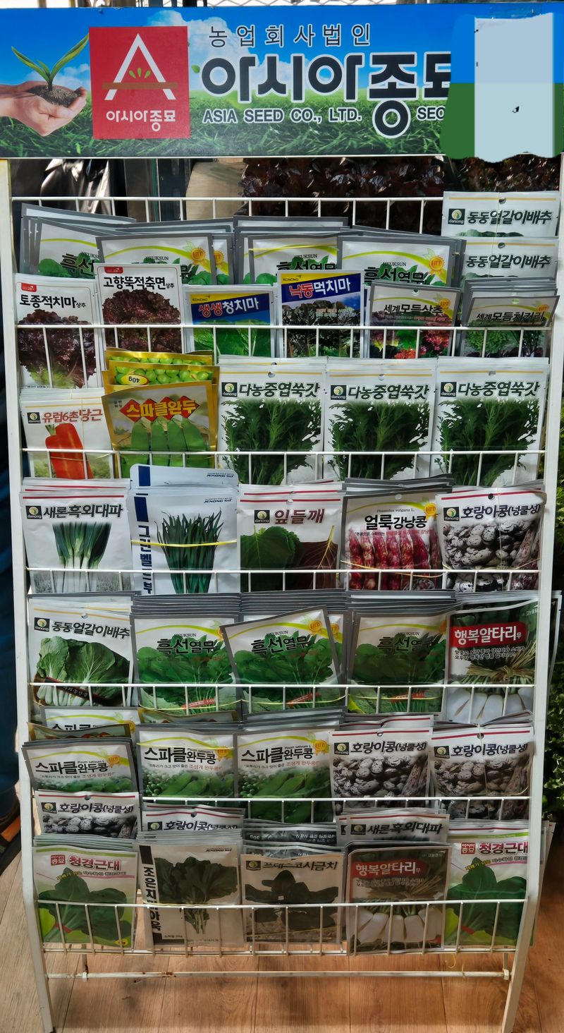 돼지파쪽파님의 장터 판매 상품 [각종 씨앗 25년 생산된 신선씨앗 ] 첨부 사진