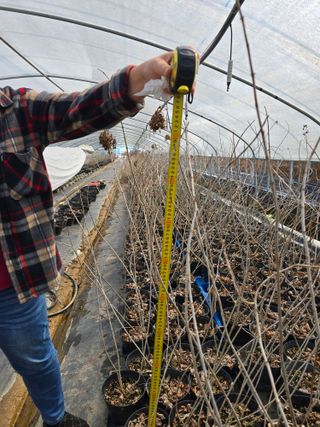 정광일님의 자유주제 · 자유게시판 작성글 사진