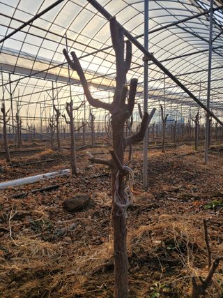 스마트라이프님의 자유주제 · 자유게시판 작성글 사진