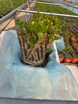 정승원님의 자유주제 · 자유게시판 작성글 사진