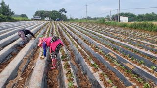 김동수님의 자유주제 · 자유게시판 작성글 사진