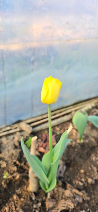 채대영님의 자유주제 · 자유게시판 작성글 사진