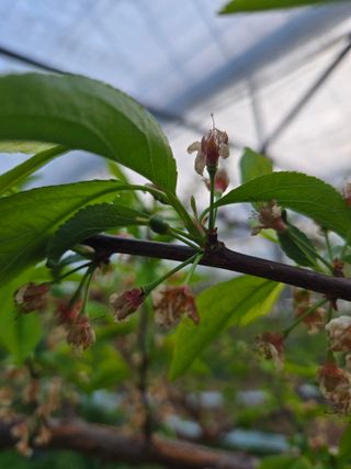 두릅나무9110님의 자유주제 · 자유게시판 작성글 사진