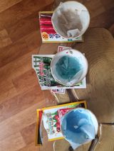 팜모닝 고추 모종 심으셨나요?·참여글 게시글 이미지