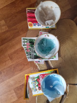 진여화 농원님의 고추 모종 심으셨나요? · 참여글 작성글 사진