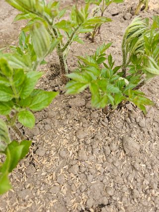 김두영님의 자유주제 · 자유게시판 작성글 사진