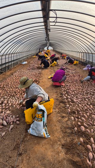 김동수님의 자유주제 · 자유게시판 작성글 사진