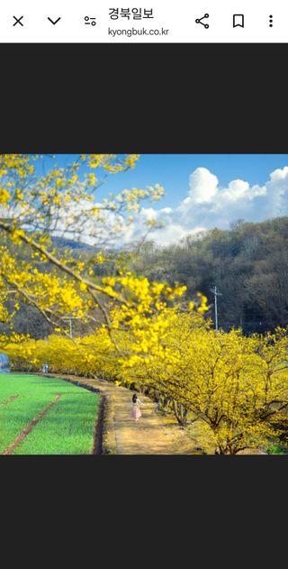 이순화님의 자유주제 · 자유게시판 작성글 사진