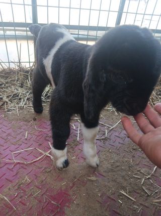 최제영님의 자유주제 · 자유게시판 작성글 사진