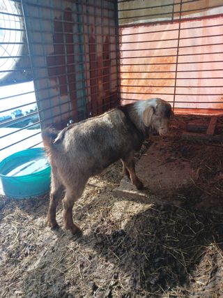 최제영님의 자유주제 · 자유게시판 작성글 사진