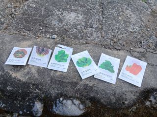 향양농장 사랑합니다님의 자유주제 · 자유게시판 작성글 사진