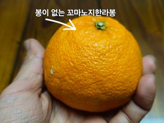 새달귤농장님의 자유주제 · 자유게시판 작성글 사진