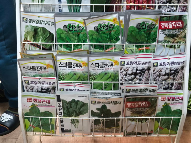 돼지파쪽파님의 장터 판매 상품 [각종 씨앗 25년 생산된 신선씨앗 ] 첨부 사진