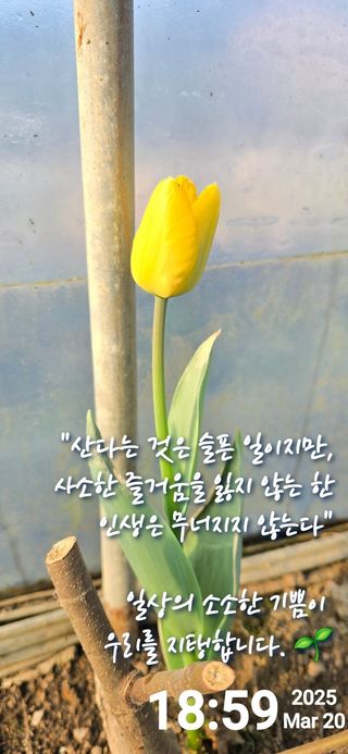 채대영님의 자유주제 · 자유게시판 작성글 사진