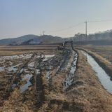 팜모닝 자유주제·자유게시판 게시글 이미지