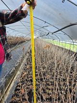 팜모닝 자유주제·자유게시판 게시글 이미지