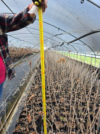 정광일님의 자유주제 · 자유게시판 작성글 사진