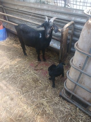 최제영님의 자유주제 · 자유게시판 작성글 사진