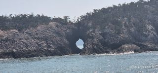 달맛햇복숭아농원님의 자유주제 · 자유게시판 작성글 사진