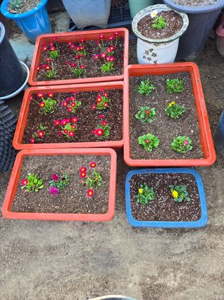 자연인님의 자유주제 · 자유게시판 작성글 사진