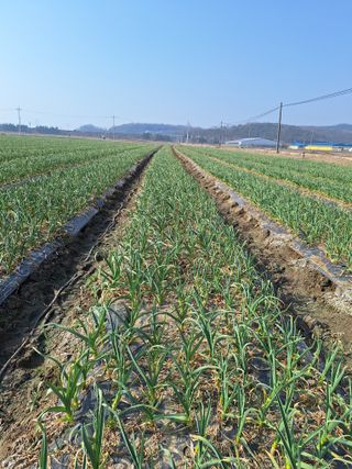 한수연님의 자유주제 · 자유게시판 작성글 사진