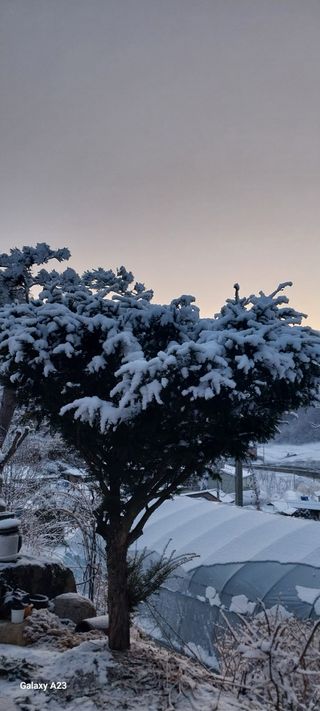 이일철 (조이산골)님의 자유주제 · 자유게시판 작성글 사진