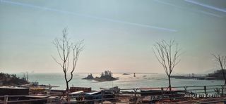 달맛햇복숭아농원님의 자유주제 · 자유게시판 작성글 사진