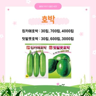 아시아종묘님의 자유주제 · 자유게시판 작성글 사진