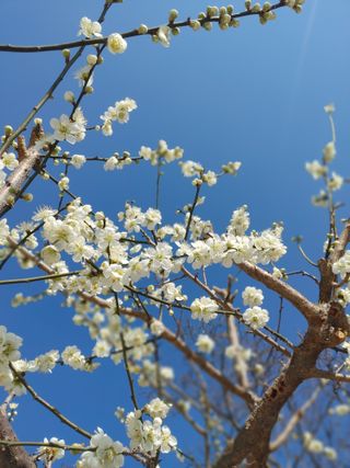 안길원님의 자유주제 · 자유게시판 작성글 사진