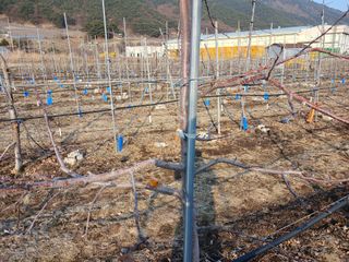 알 수 없음님의 자유주제 · 자유게시판 작성글 사진