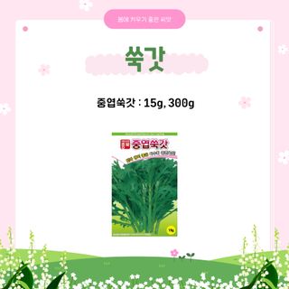 아시아종묘님의 자유주제 · 자유게시판 작성글 사진