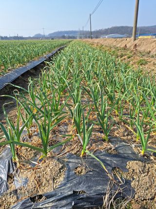한수연님의 자유주제 · 자유게시판 작성글 사진