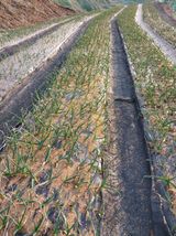 팜모닝 자유주제·자유게시판 게시글 이미지