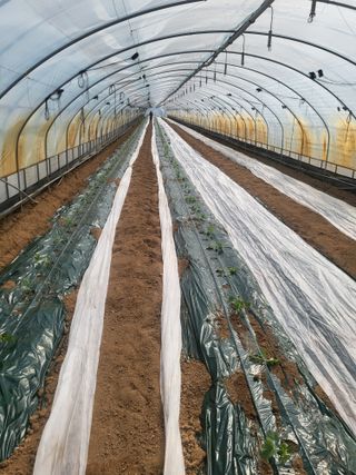 엄마와딸농장님의 자유주제 · 자유게시판 작성글 사진