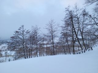 함봉천님의 자유주제 · 자유게시판 작성글 사진