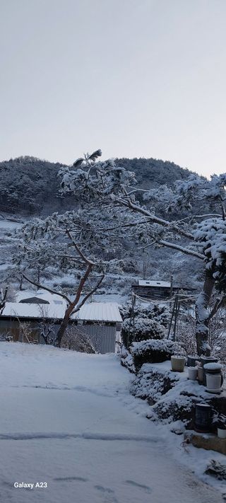 이일철 (조이산골)님의 자유주제 · 자유게시판 작성글 사진