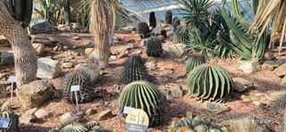 달맛햇복숭아농원님의 자유주제 · 자유게시판 작성글 사진