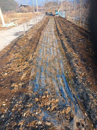 알 수 없음님의 자유주제 · 자유게시판 작성글 사진