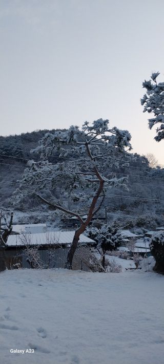 이일철 (조이산골)님의 자유주제 · 자유게시판 작성글 사진